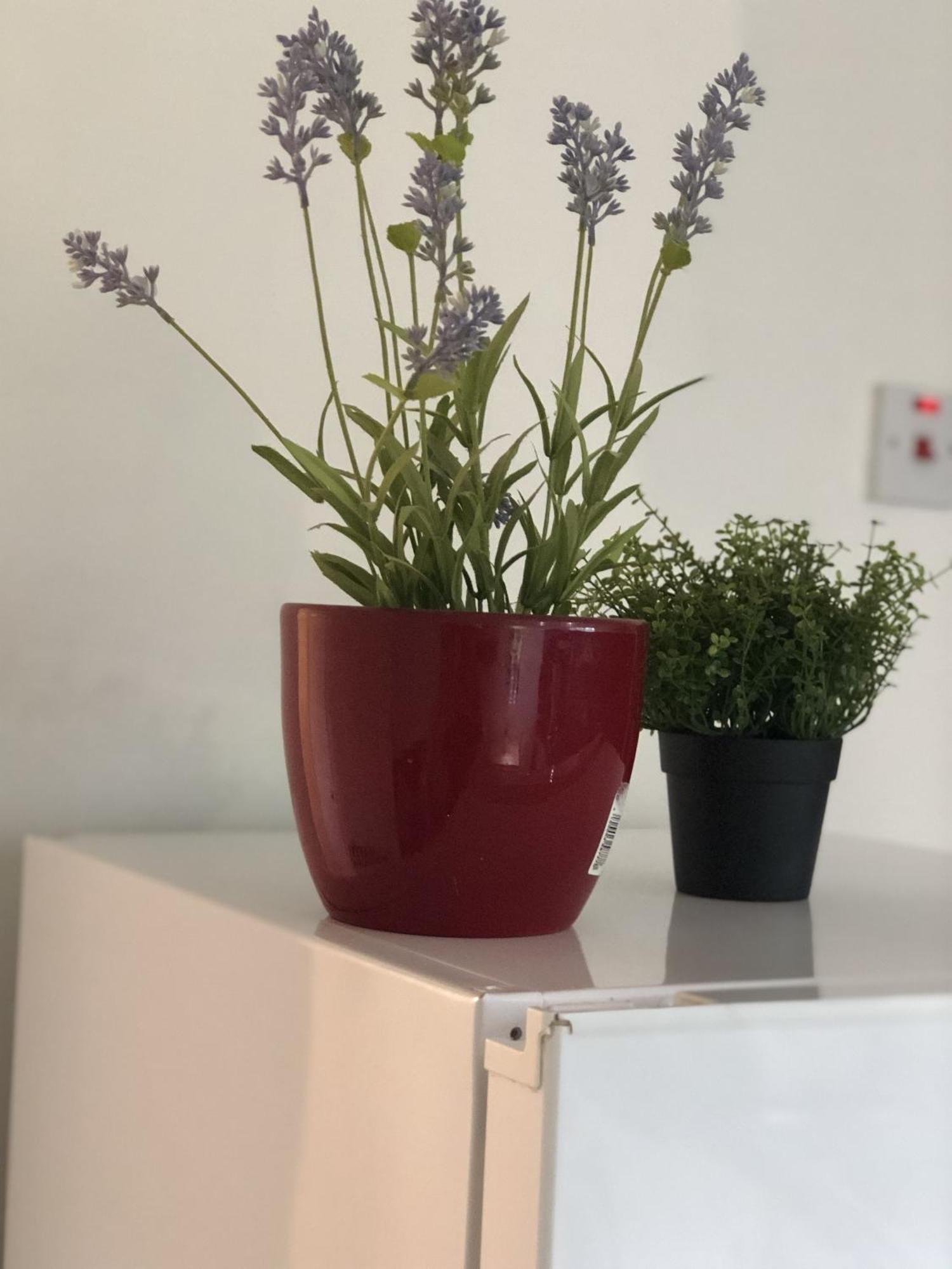 Apple House Guesthouse Heathrow Airport Хитроу Номер фото